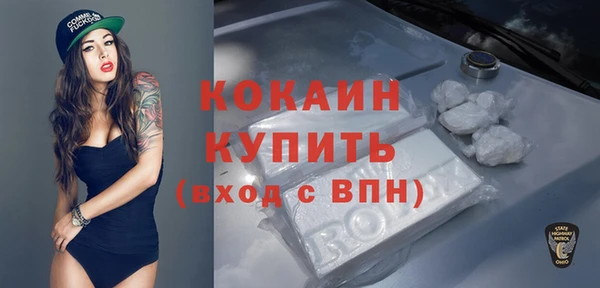 spice Алзамай