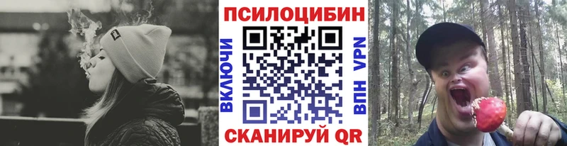 Псилоцибиновые грибы прущие грибы блэк спрут сайт Благодарный